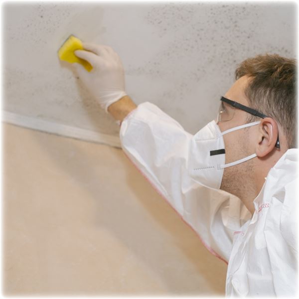 25.05 - Damp, Mould & Condensation - Mould Removal